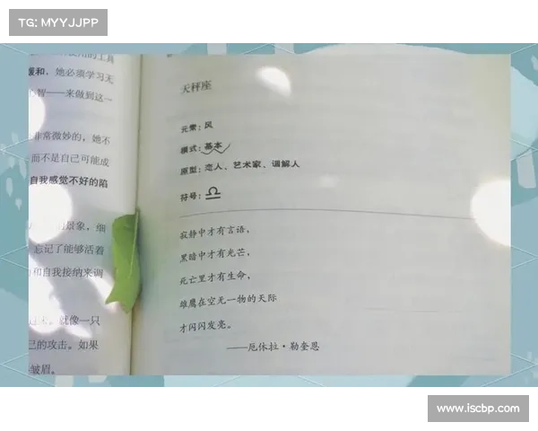 混乱的天秤座攻击目标BPO行业 传媒 混乱的天秤座攻击目标BPO行业 传媒