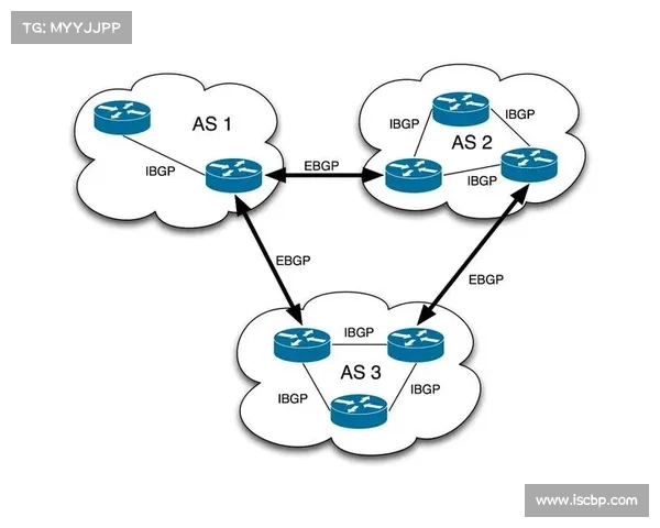 白宫将 BGP 路由称为“国家安全问题”,并公布改革路线图 网络世界 白宫将 BGP 路由称为“国家安全问题”,并公布改革路线图 网络世界